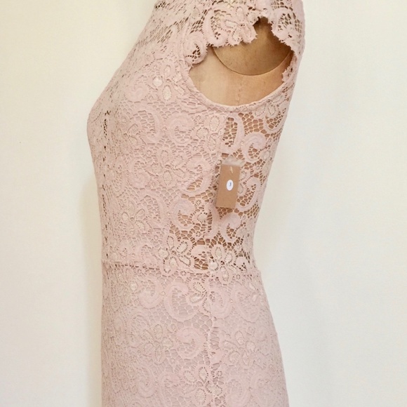 Nightcap nude lace dress with cap sleeves NWT - Picture 11 of 16